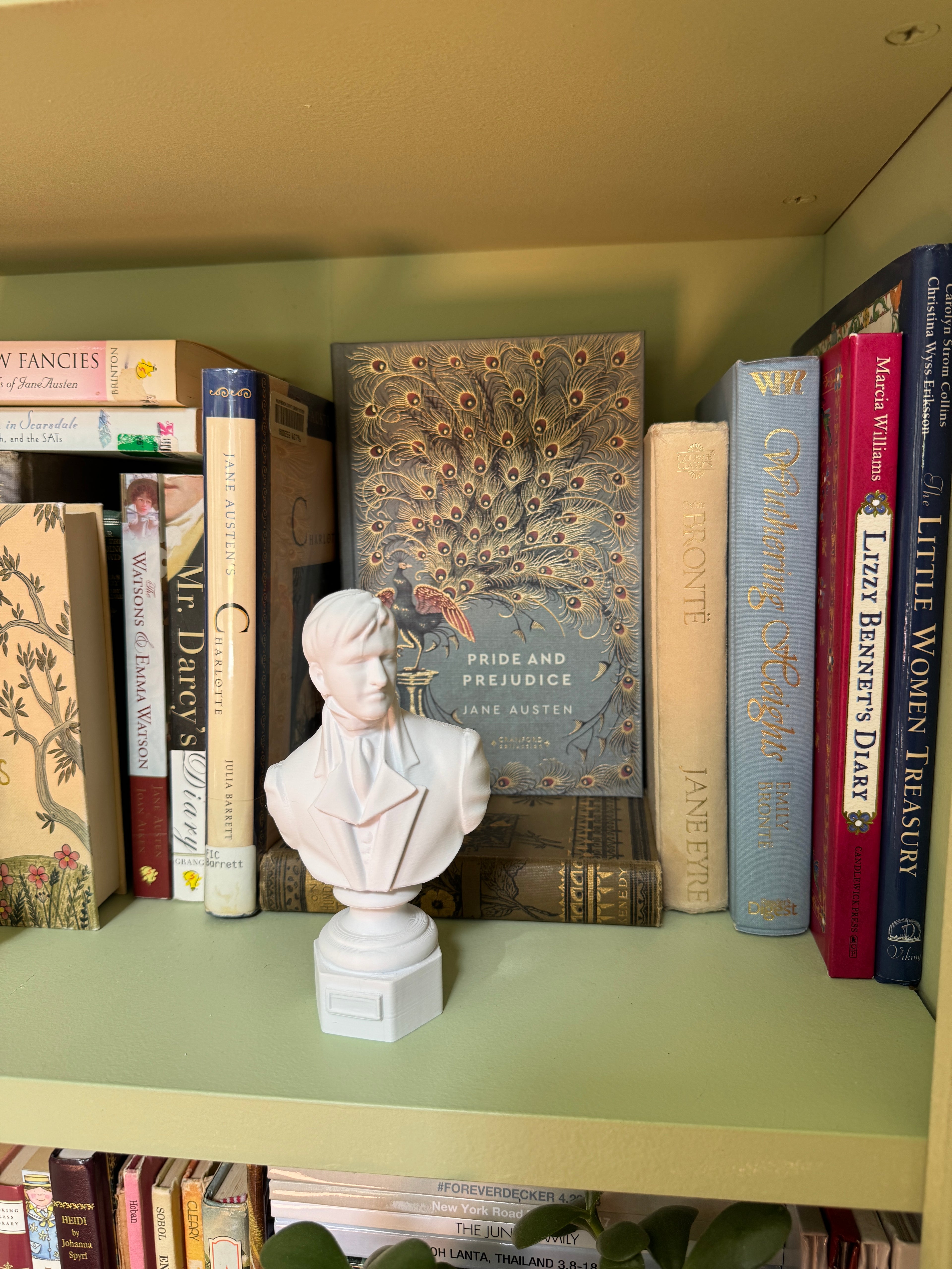 Mr. Darcy 6 Inch Bust