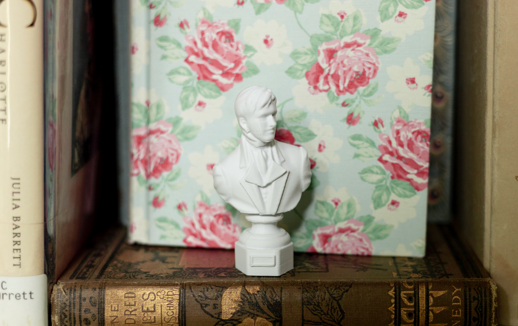 Mr. Darcy Bust Magnet